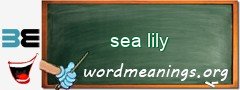 WordMeaning blackboard for sea lily